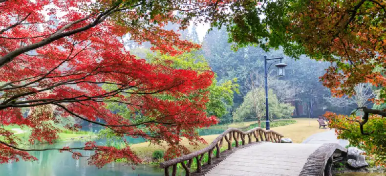Hotels in Huishui