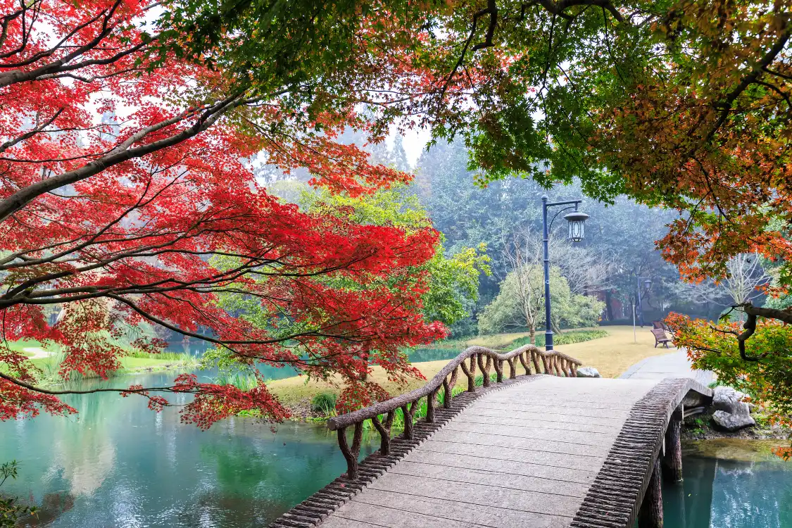 Hotels near Lianjiang Park