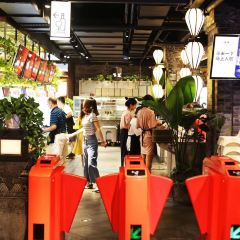 川西坝子 User Photo