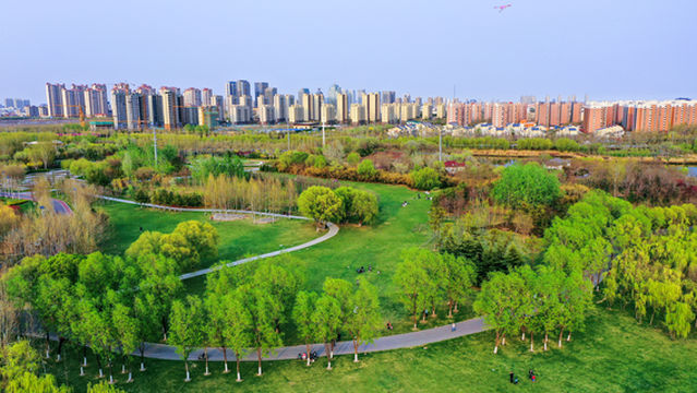 Dongying Botanical Garden