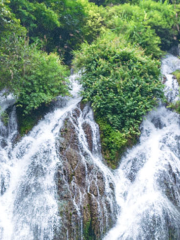 水葩水寨