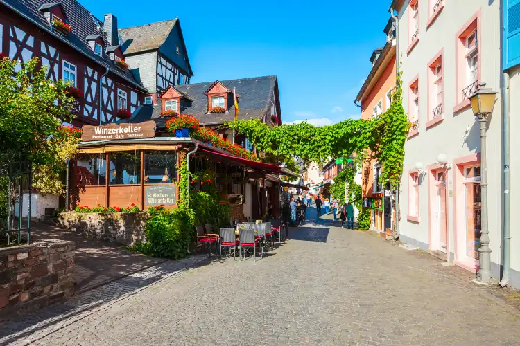 Hotels in Rudesheim