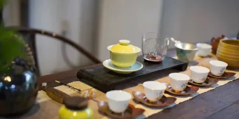 Focusana Tea