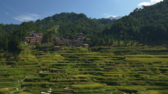 Rongshuibeijiang Sceneic Area