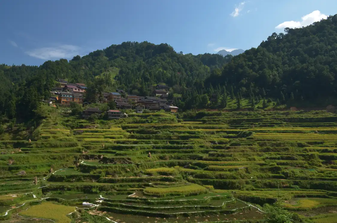Hotels near Rongshuibeijiang Sceneic Area