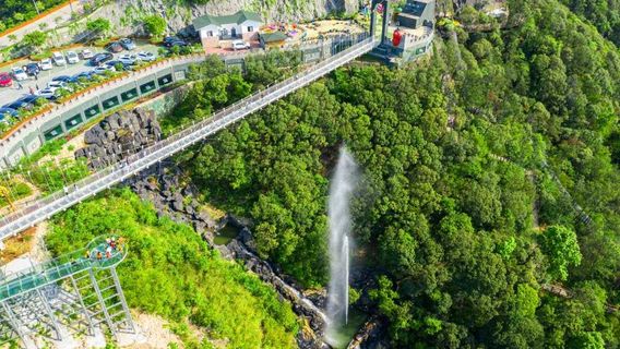 Top Cloud Grass World