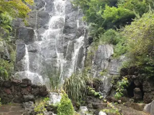 美しい庭園 花水木