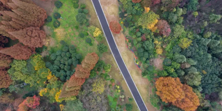 淮河柳樹灣濕地公園