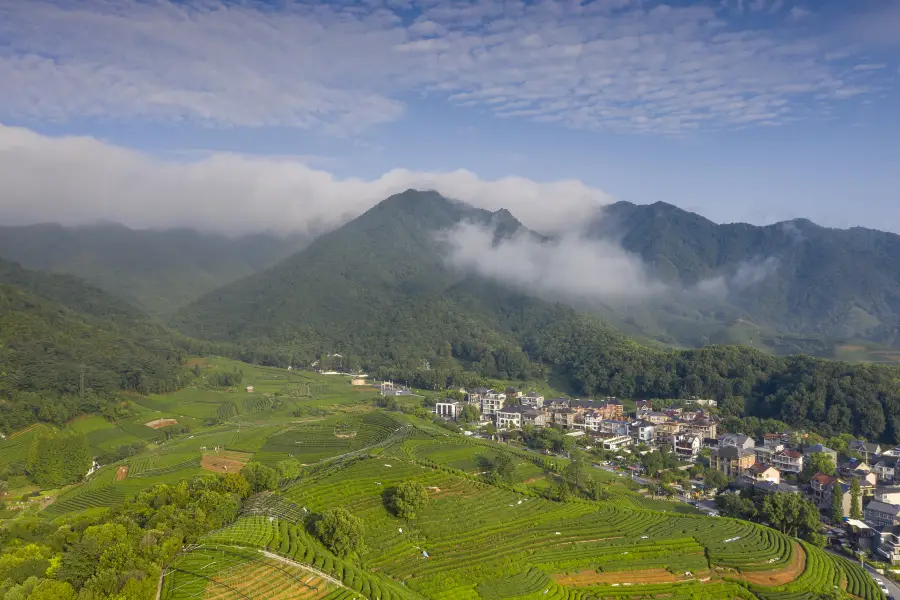 Longwuzhenxi Mountain Forest Park