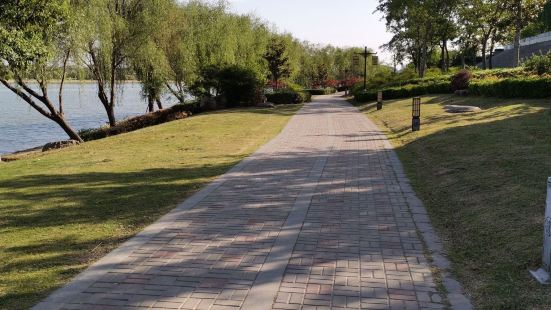 打造的洛河边的免费的公园，绿树成荫，河水明净，适合散步。临近