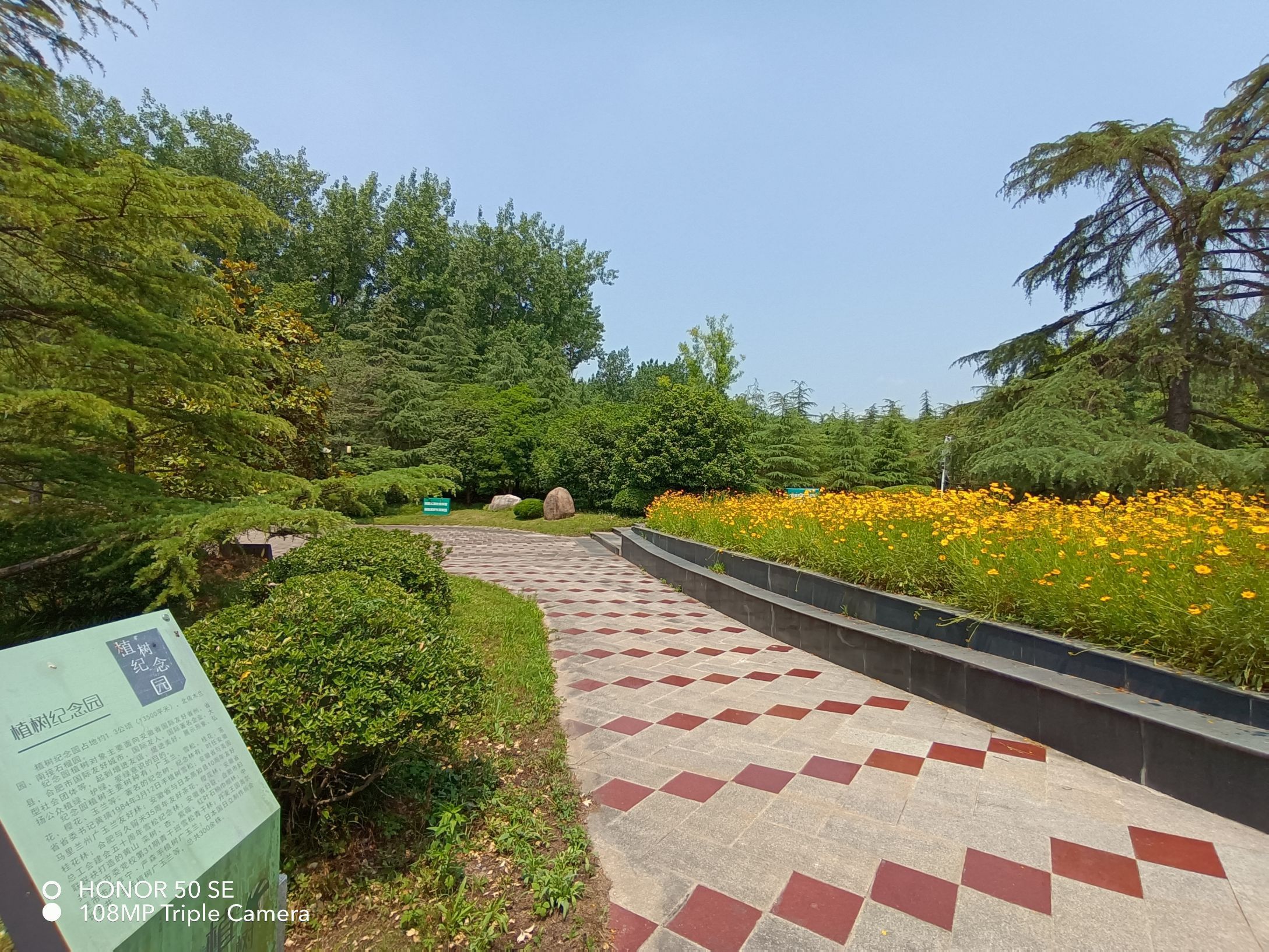 Hefei Arboretum Attraction Reviews Hefei Arboretum Tickets Hefei Arboretum Discounts Hefei Arboretum Transportation Address Opening Hours Attractions Hotels And Food Near Hefei Arboretum Trip Com
