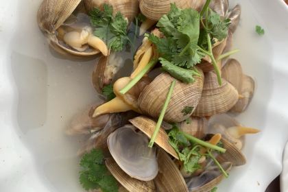 CHONG SHUN HAI XIAN FAN DIAN