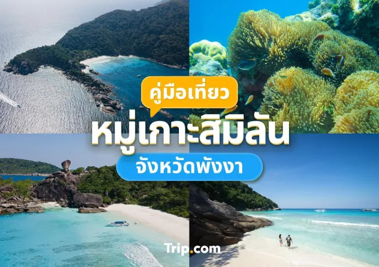 คู่มือเที่ยวเกาะสิมิลัน เปิดเกาะ 2566