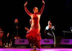 Flamenco City Hall Theatre - Barcelona