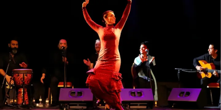 巴塞隆納City Hall劇院弗拉明戈演出