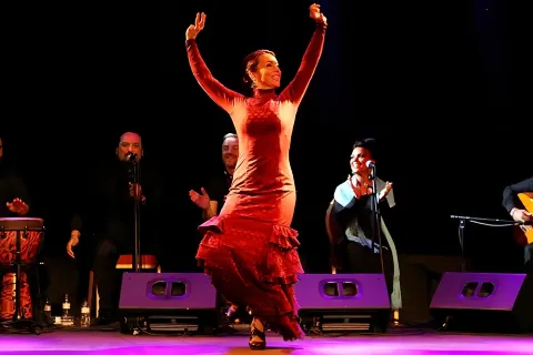 Flamenco City Hall Theatre - Barcelona