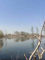 Huangbizhuang Reservoir Wetlands