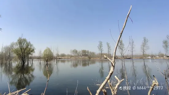 Huangbizhuang Reservoir Wetlands