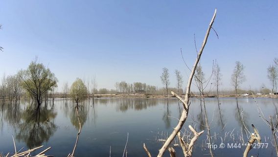 Huangbizhuang Reservoir Wetlands