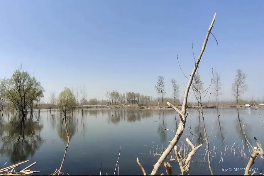 Huangbizhuang Reservoir Wetlands