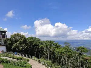 Upper Shillong Forest