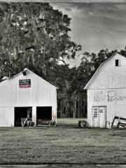 Old Willis Dairy