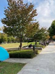 나카노시마 공원 잔디밭 광장