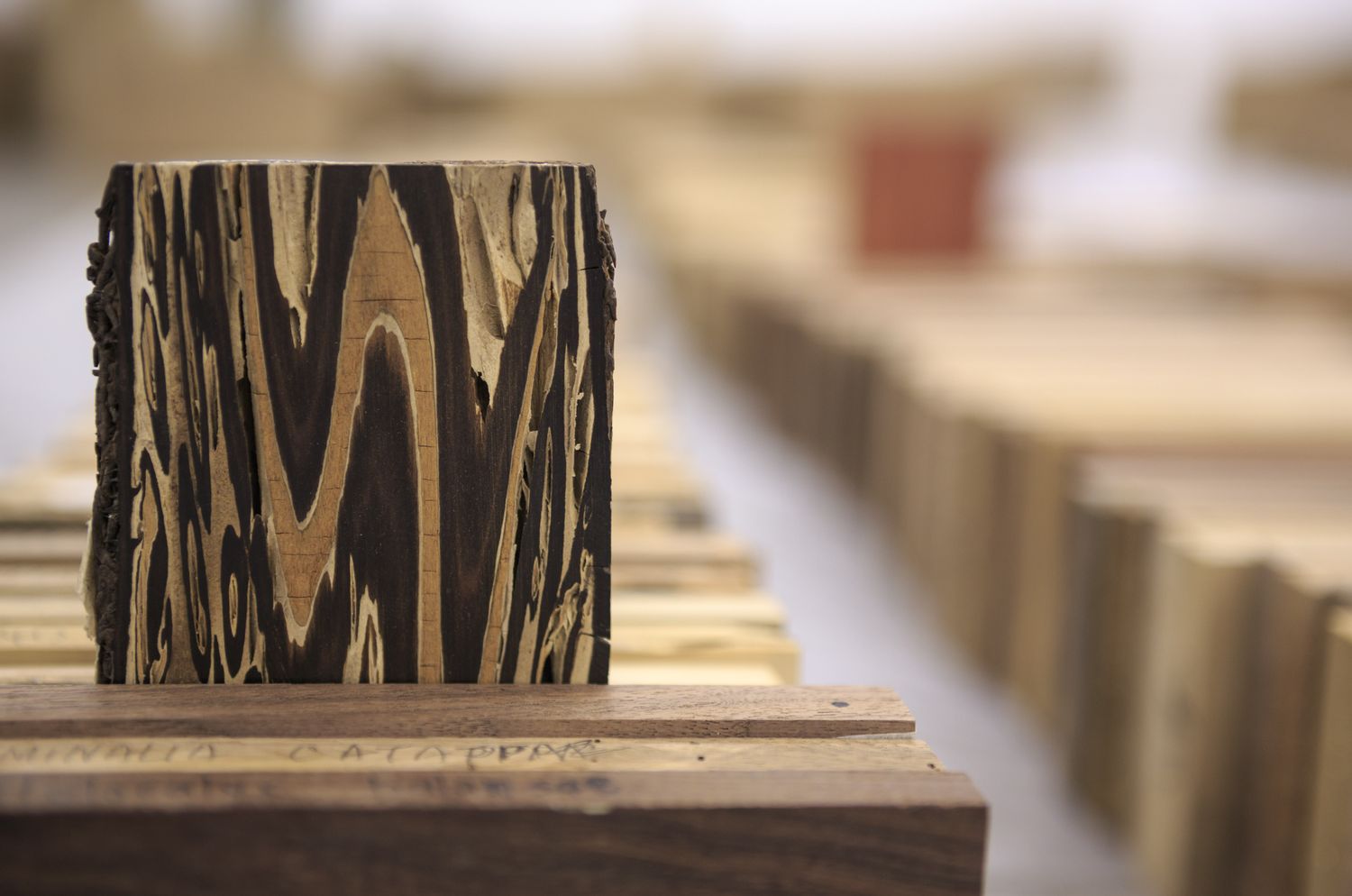 Katie Paterson / Hollow | Bristol