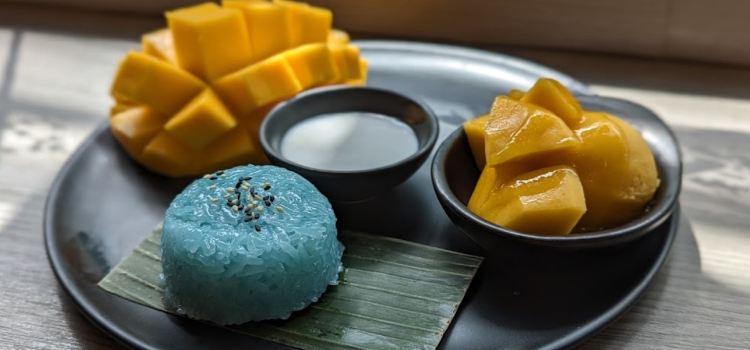 The Mango Garden