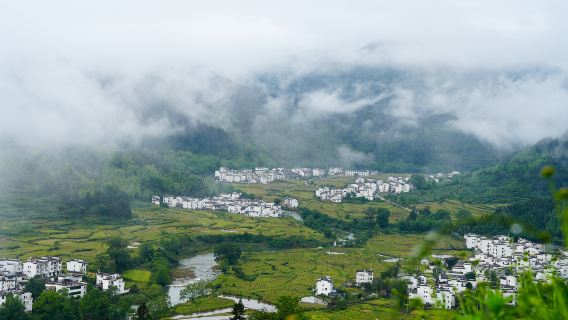 Jingdezhen