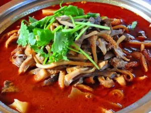 MENG GU DA YING SHI DE GONG YUAN DIAN