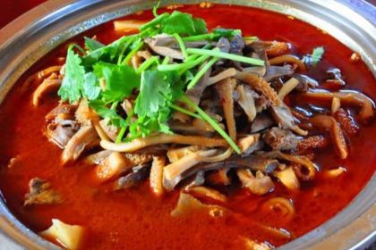 MENG GU DA YING SHI DE GONG YUAN DIAN