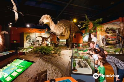 Dinosaur Isle Museum