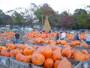 Linvilla Orchards
