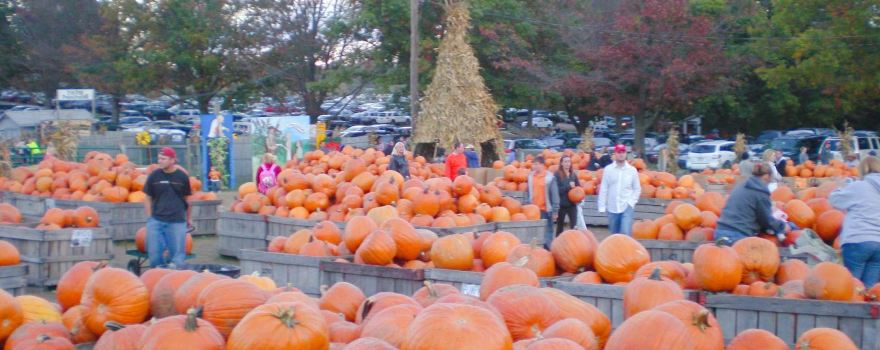 Linvilla Orchards