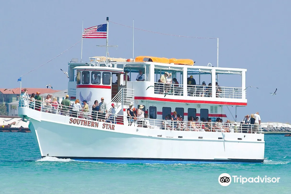 4_Southern Star Dolphin Cruise