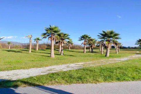 Erhai Ecological Corridor