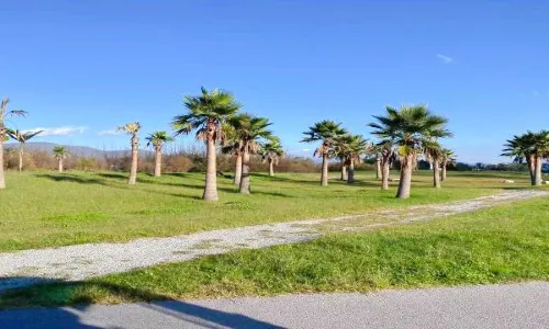 Erhai Ecological Corridor