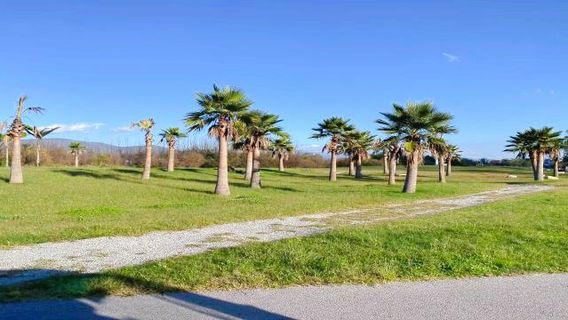 Erhai Ecological Corridor