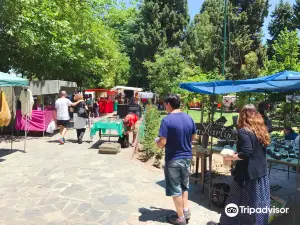 Feria de Artesanos de Villa de las Rosas