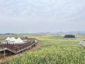 Luoping Rapeseed Main Assembly Hall