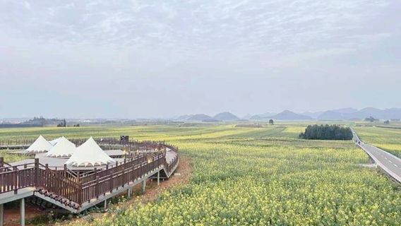 Luoping Rapeseed Main Assembly Hall