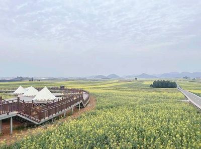 Luoping Rapeseed Main Assembly Hall