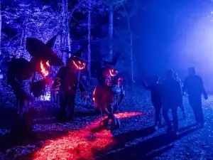 Fear Forest