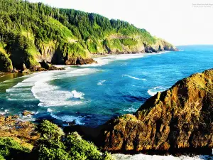 Devil’s Elbow Viewpoint