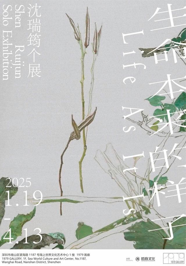 沈瑞筠個展《生命本來的樣子》 | 1979畫廊