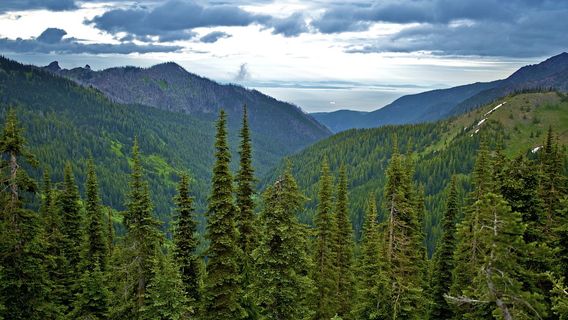 Reade Hill Trailhead