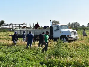 Walchli Farm