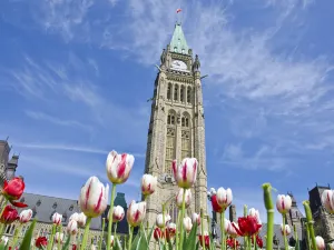 Parliament Hill