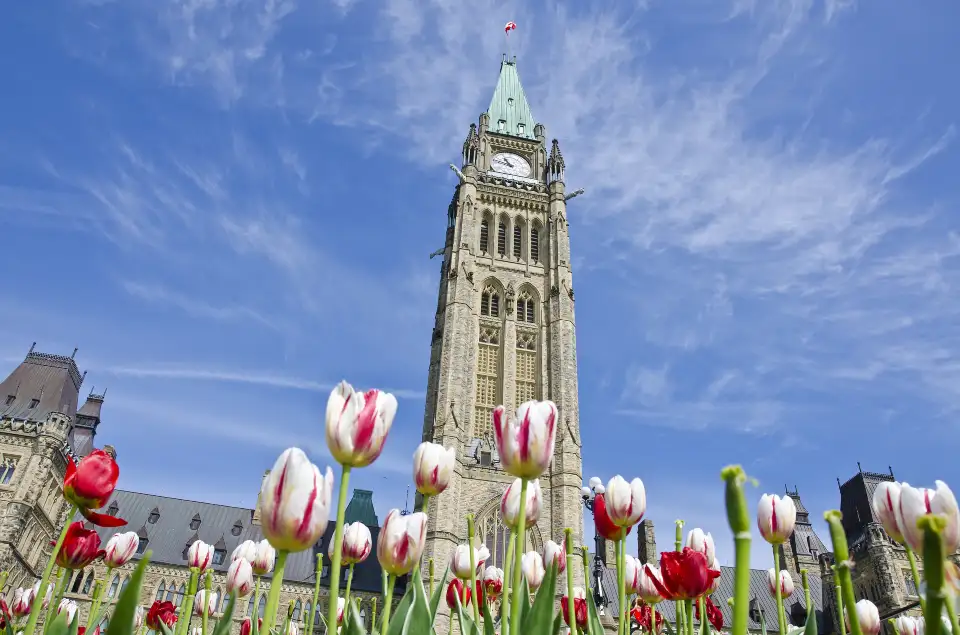 3_Parliament Hill